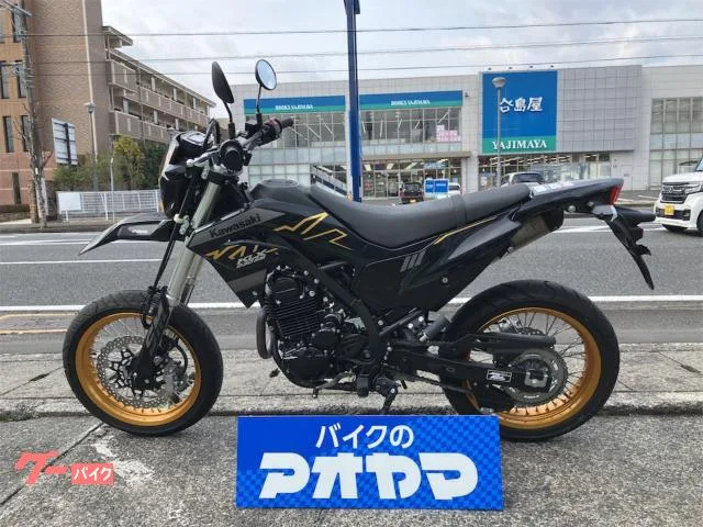 Kawasaki KLX230SM 2023 — миниатюра 2
