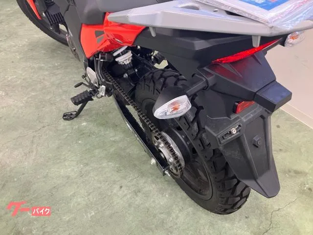 Suzuki V- 250SX 2024 — миниатюра 5