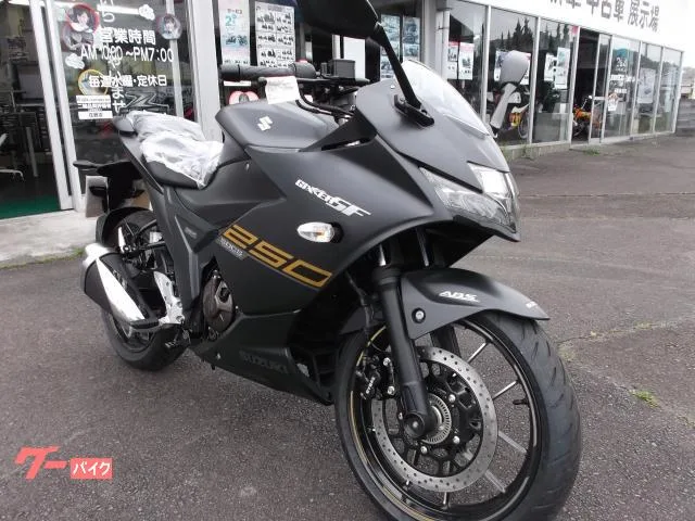 Suzuki GIXXER SF 250 2023 4FI 6 GSX250FRLM3 2023 — миниатюра 2