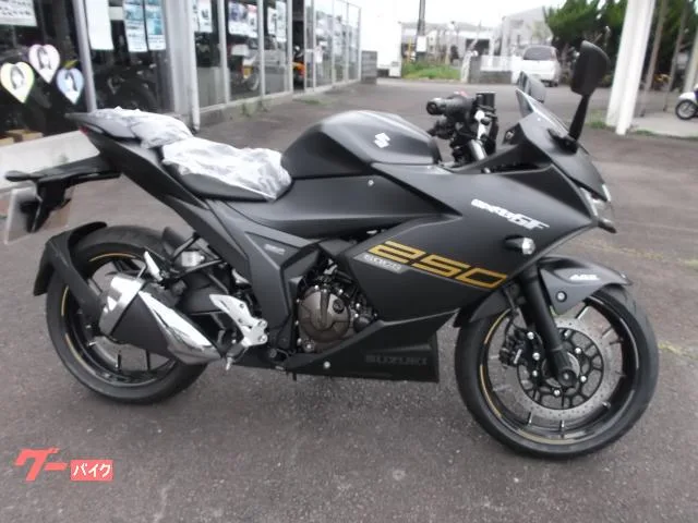 Suzuki GIXXER SF 250 2023 4FI 6 GSX250FRLM3 2023 — фото 1, купить с доставкой в Москву