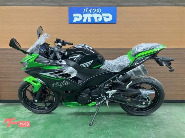 Kawasaki Ninja 400 / 2024 — миниатюра 2