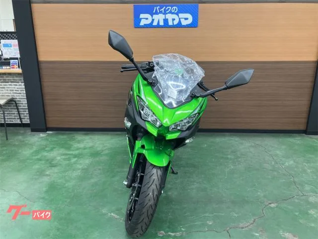 Kawasaki Ninja 400 / 2024 — миниатюра 3