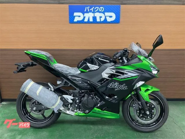 Kawasaki Ninja 400 / 2024 — фото 1, купить с доставкой в Москву