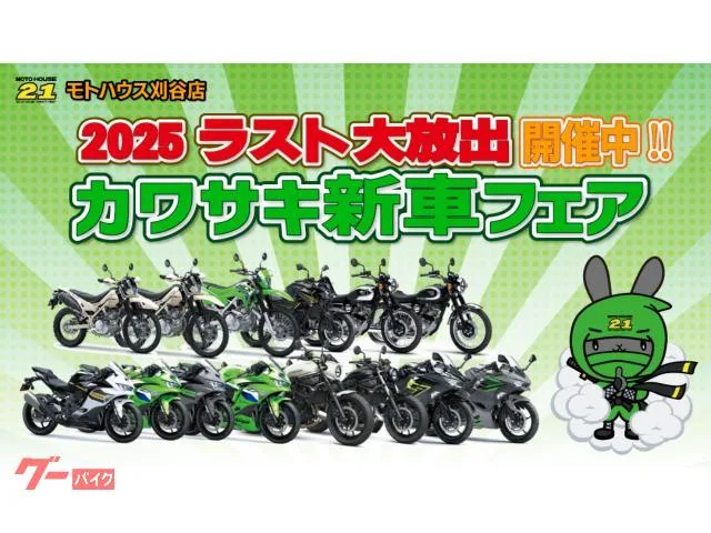 Kawasaki 400 2026 — миниатюра 2