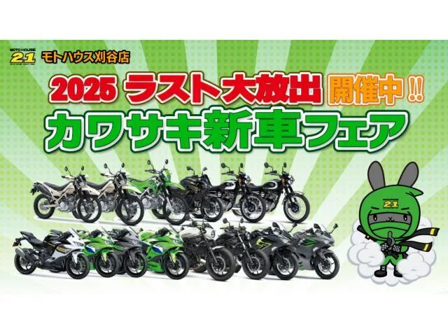 Kawasaki Ninja ZX-4RR 2026 — миниатюра 2