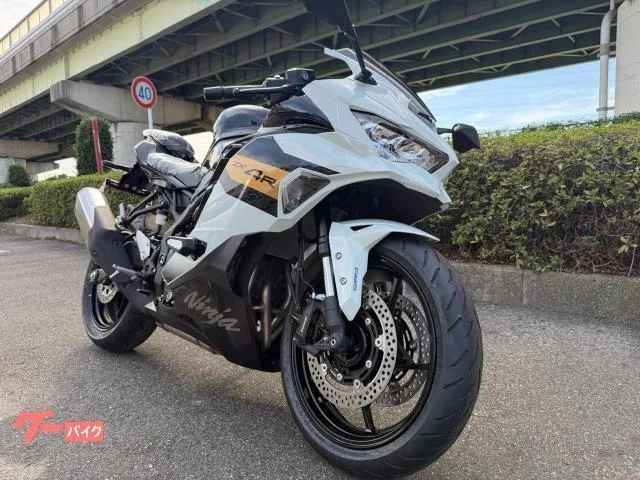 Kawasaki Ninja ZX-4R SE 2026 — миниатюра 2