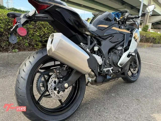 Kawasaki Ninja ZX-4R SE 2026 — миниатюра 3