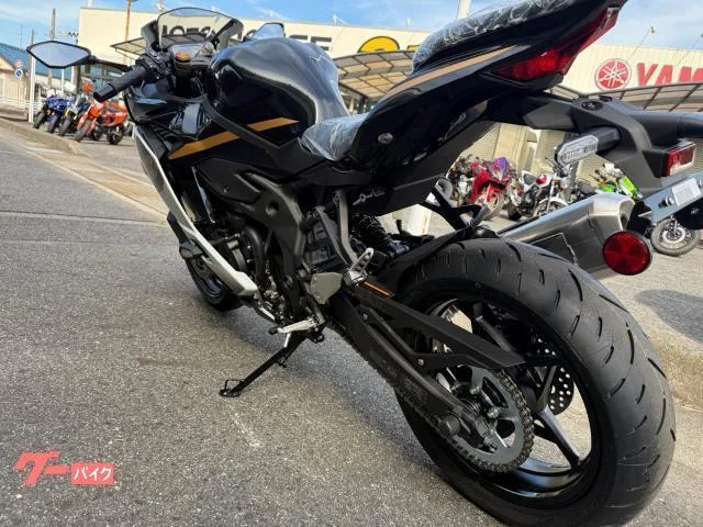 Kawasaki Ninja ZX-4R SE 2026 — миниатюра 4