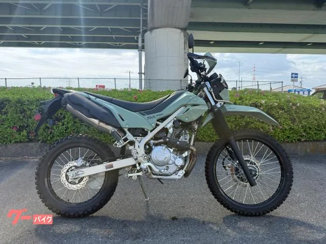 Kawasaki KLX230 2025 — фото 1, купить с доставкой в Москву