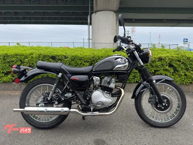 Kawasaki S1 2025 — фото 1, купить с доставкой в Москву