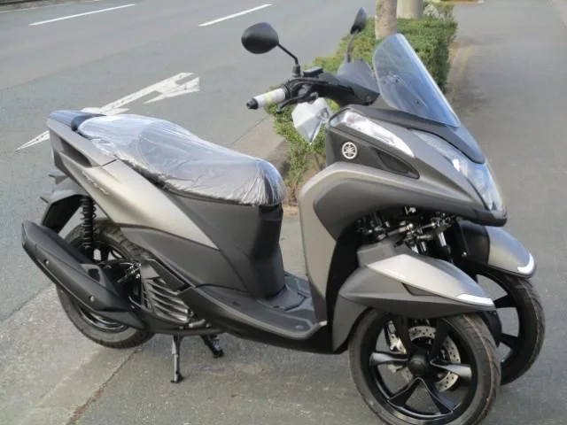 Trike TRICITY125TYPE2 2023 — фото 1, купить с доставкой в Москву