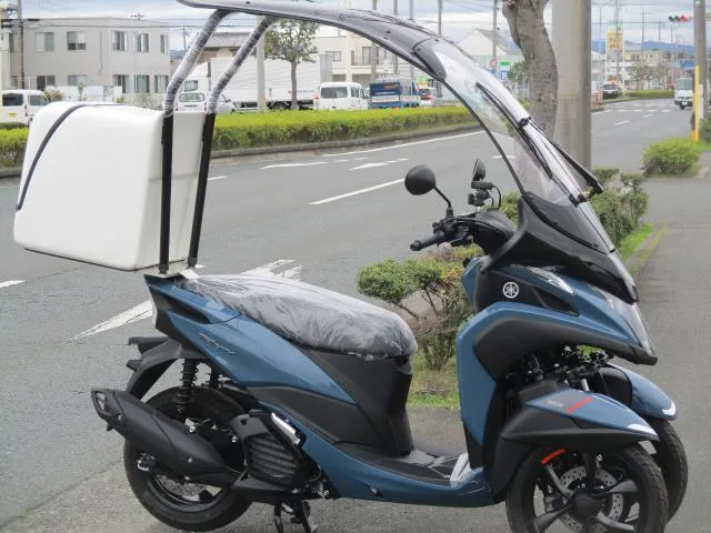Trike 125TYPE3BOX 2023 — фото 1, купить с доставкой в Москву