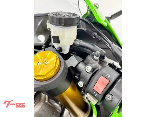 Kawasaki Ninja ZX-6R 40th Anniversary Edition 18205B0032 2024 — миниатюра 3