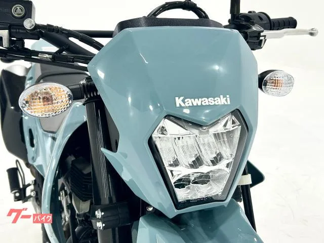 Kawasaki KLX230SM KA-C-116-S 2025 — миниатюра 3
