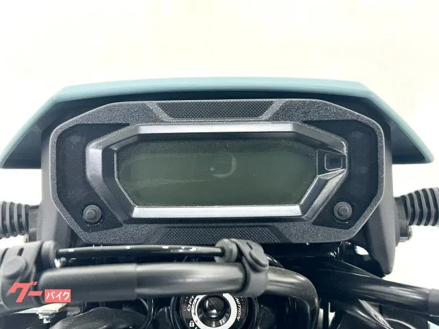 Kawasaki KLX230SM KA-C-116-S 2025 — миниатюра 4