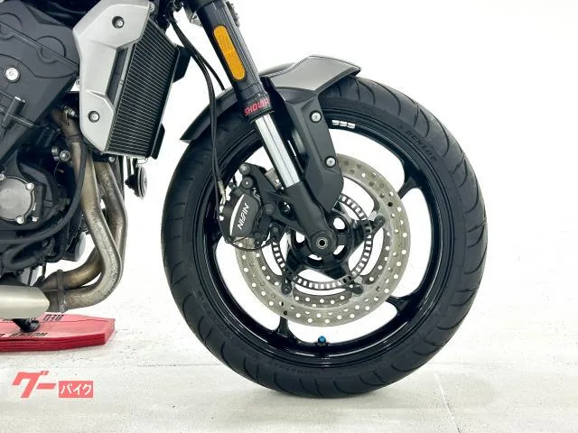 TRIUMPH 660 1248450036 2022 — миниатюра 3