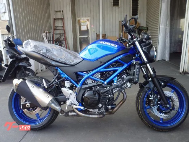 Suzuki SV650 V650cc ABS 2025 — фото 1, купить с доставкой в Москву