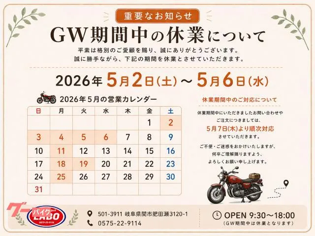 Suzuki V- 250 ABS DS12E 2024 — миниатюра 4