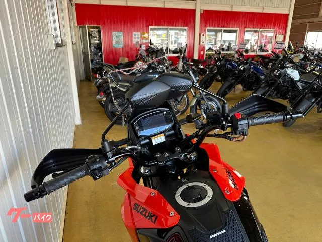 Suzuki V- 250SX TOP 2024 — миниатюра 5