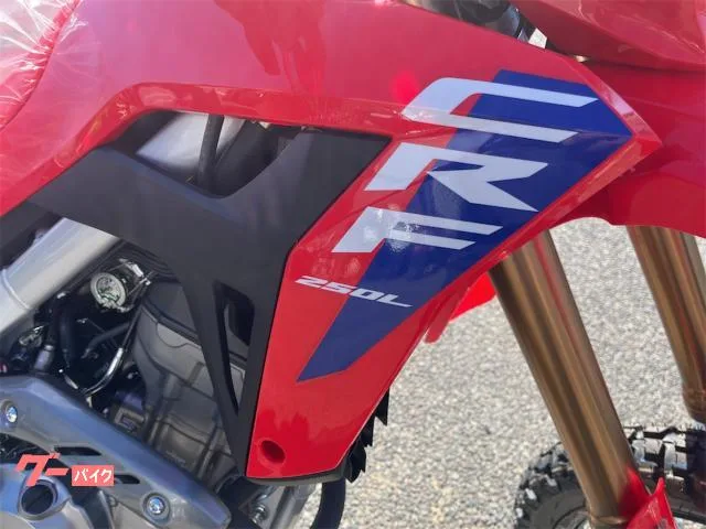 Honda CRF250LS 2025 — миниатюра 3
