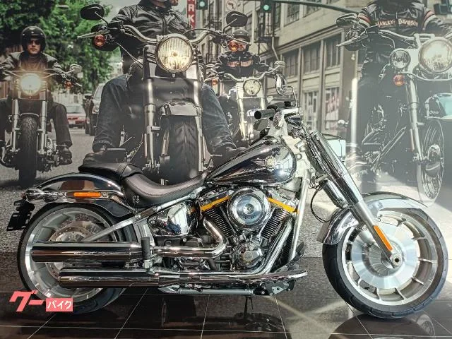 HARLEY-DAVIDSON FLSTFI 35 2025 — фото 1, купить с доставкой в Москву