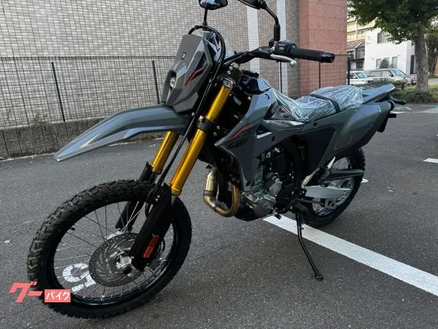 Suzuki DR-Z4S LED ABS2025 2025 — миниатюра 5