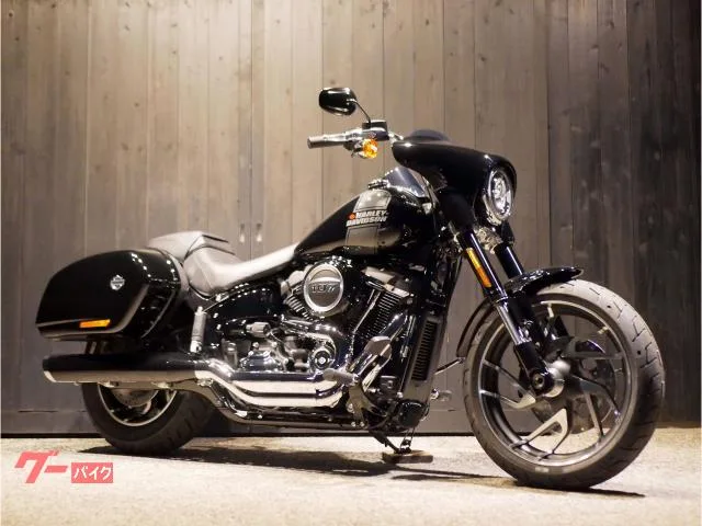 HARLEY-DAVIDSON FLSB 2024 — фото 1, купить с доставкой в Москву