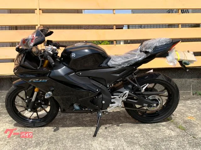 Yamaha YZF-R15 2023 — миниатюра 2