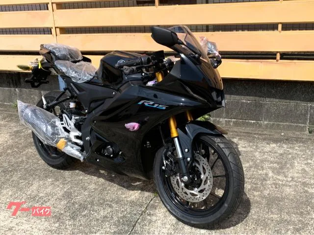 Yamaha YZF-R15 2023 — миниатюра 3