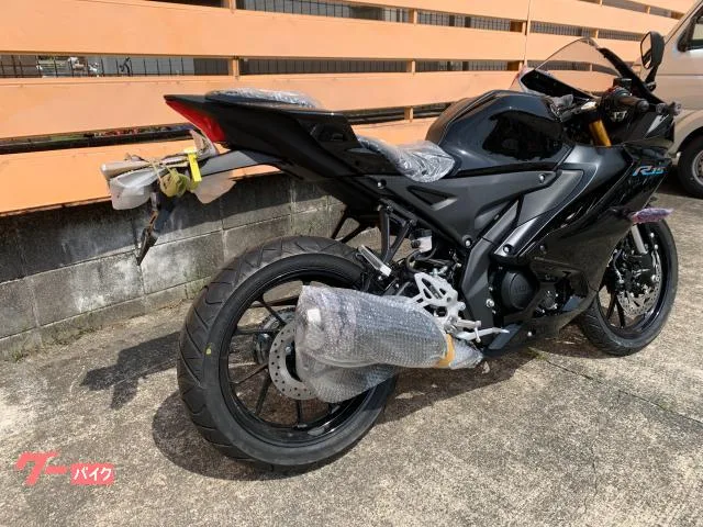 Yamaha YZF-R15 2023 — миниатюра 5