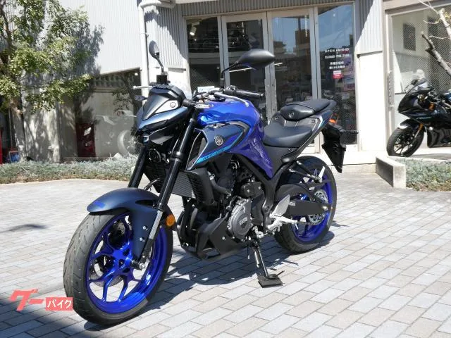 Yamaha MT-03(320cc) 2025 — миниатюра 4