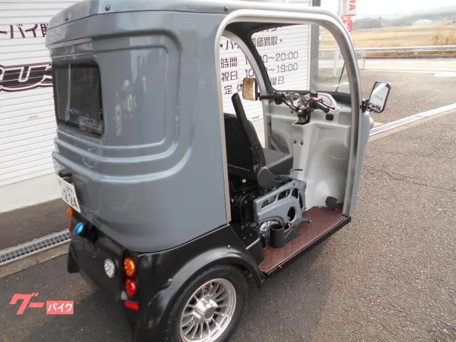 Trike APtrikes250 2025 — миниатюра 2