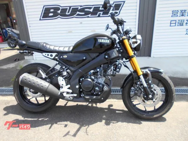 Yamaha XSR125 2023 — фото 1, купить с доставкой в Москву