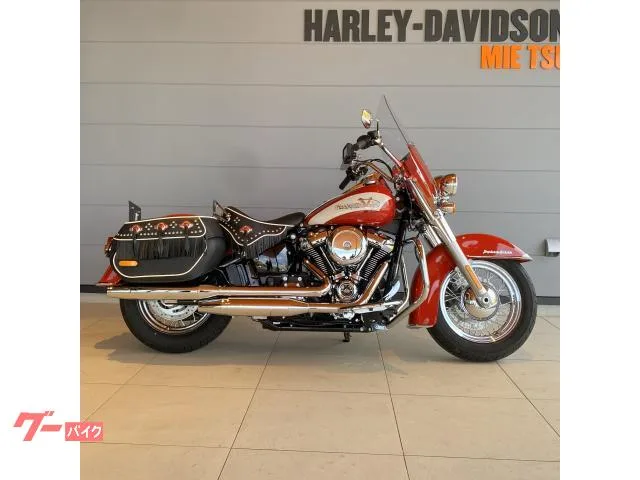 HARLEY-DAVIDSON FLI 2024 — фото 1, купить с доставкой в Москву