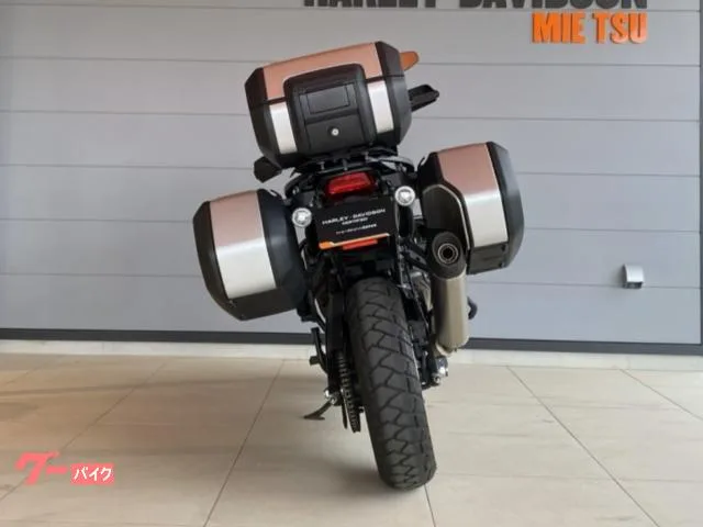 HARLEY-DAVIDSON 1250 2023 — миниатюра 4