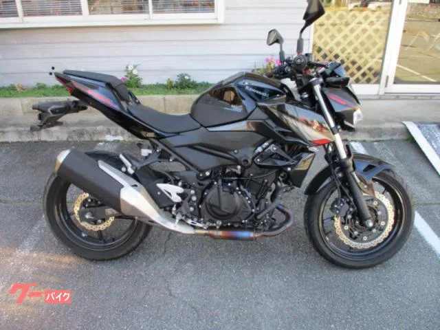 Kawasaki Z400 2023 — фото 1, купить с доставкой в Москву