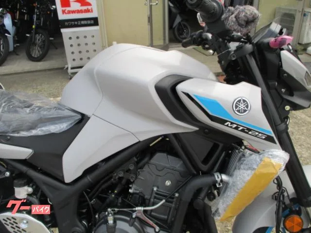 Yamaha MT-25 2026 — миниатюра 5