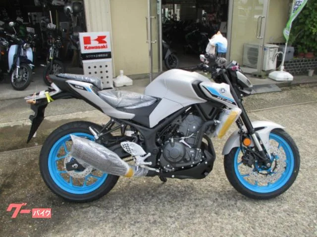 Yamaha MT-25 2026 — фото 1, купить с доставкой в Москву