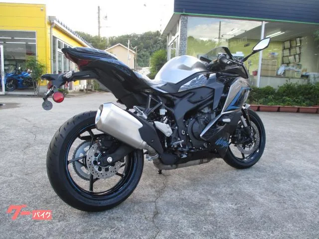 Kawasaki Ninja ZX-25R SE/ TFT / 2024 — миниатюра 2