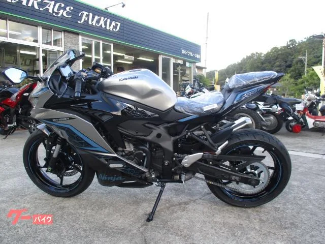 Kawasaki Ninja ZX-25R SE/ TFT / 2024 — миниатюра 5