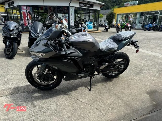 Kawasaki Ninja ZX-4R SE 2025 — миниатюра 2