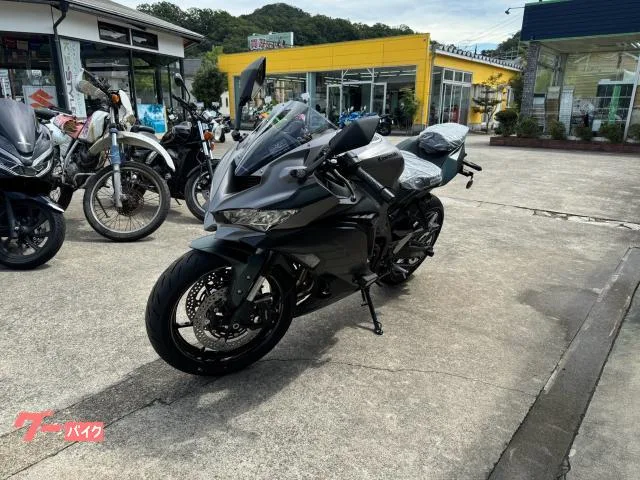 Kawasaki Ninja ZX-4R SE 2025 — миниатюра 3