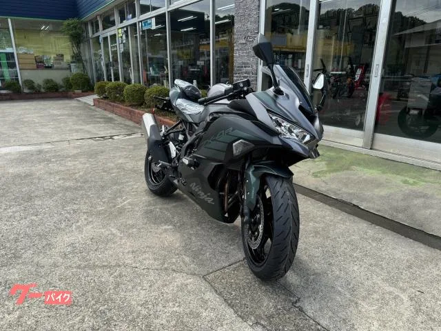 Kawasaki Ninja ZX-4R SE 2025 — миниатюра 5