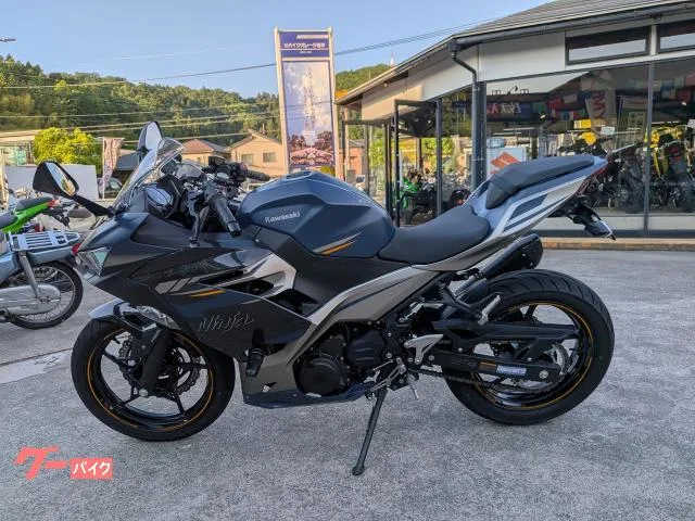 Kawasaki Ninja 250 ETC2.0 CR-1 2023 — миниатюра 2