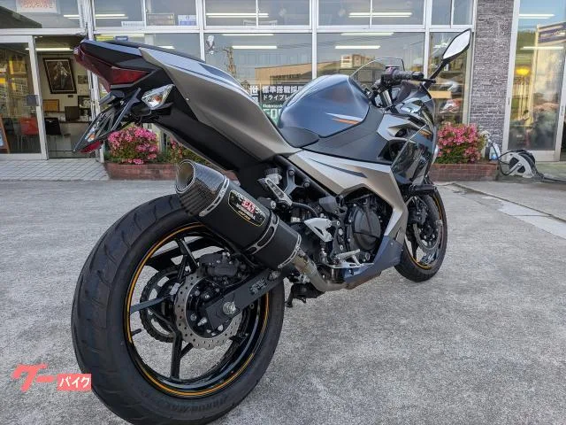 Kawasaki Ninja 250 ETC2.0 CR-1 2023 — миниатюра 3