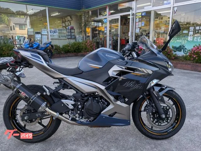 Kawasaki Ninja 250 ETC2.0 CR-1 2023 — фото 1, купить с доставкой в Москву