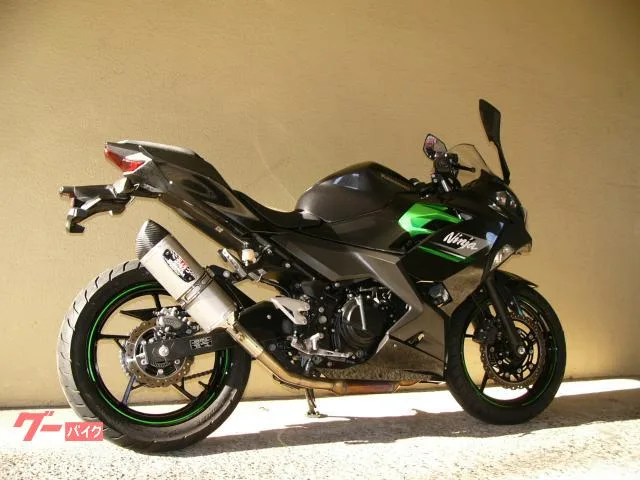 Kawasaki Ninja 250 F 2023 — миниатюра 2