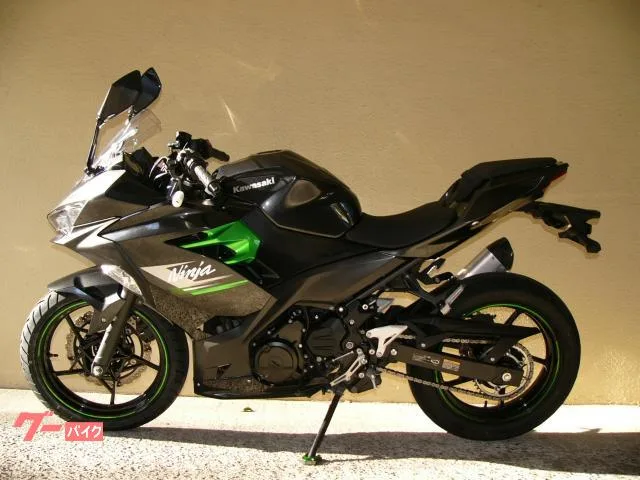 Kawasaki Ninja 250 F 2023 — миниатюра 4