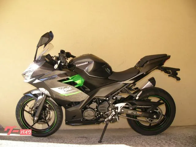 Kawasaki Ninja 250 F 2023 — миниатюра 5