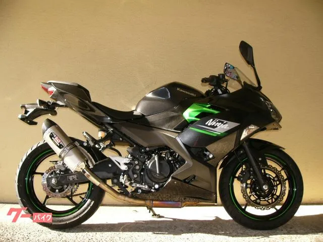 Kawasaki Ninja 250 F 2023 — фото 1, купить с доставкой в Москву